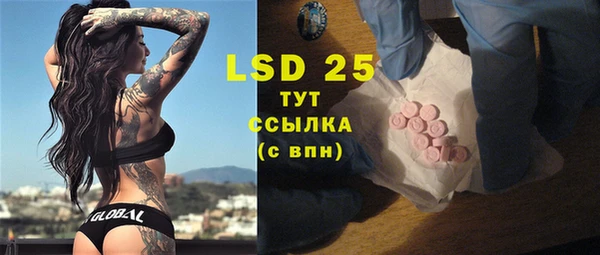 PSILOCYBIN Богданович