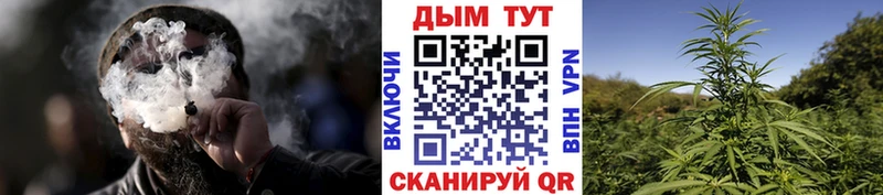 Шишки марихуана LSD WEED  продажа наркотиков  Тогучин 